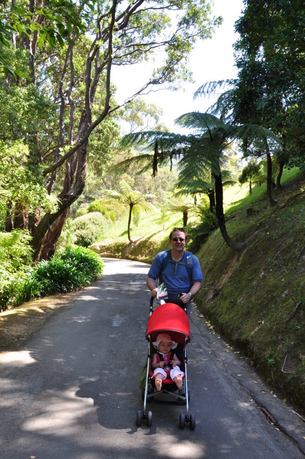 The Botanical Gardens of Wellington are extensive, and would take many days to explore fully.  We really enjoyed our stroll around the gardens.